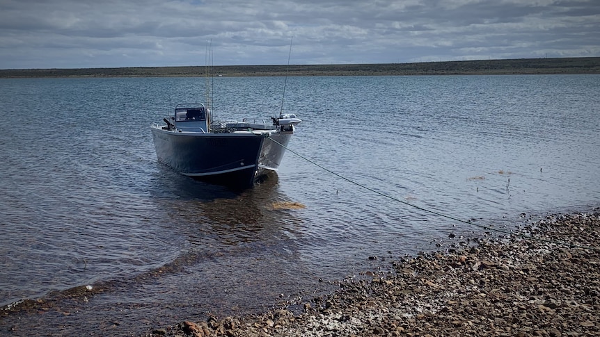 Small aluminium boat on a lake, tied up at the shore.