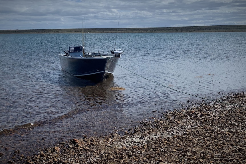 Small aluminium boat on a lake, tied up at the shore.
