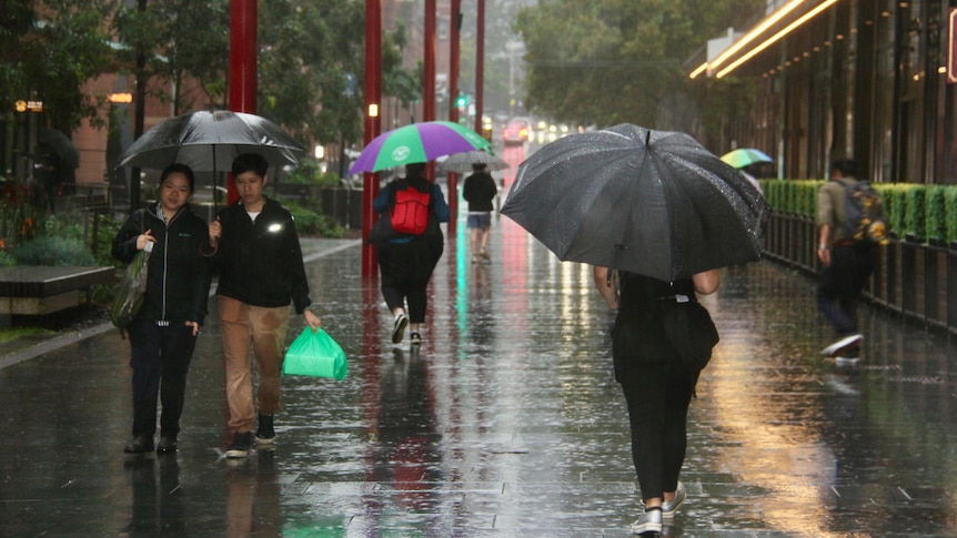 People walk under umbrellas in the rain.