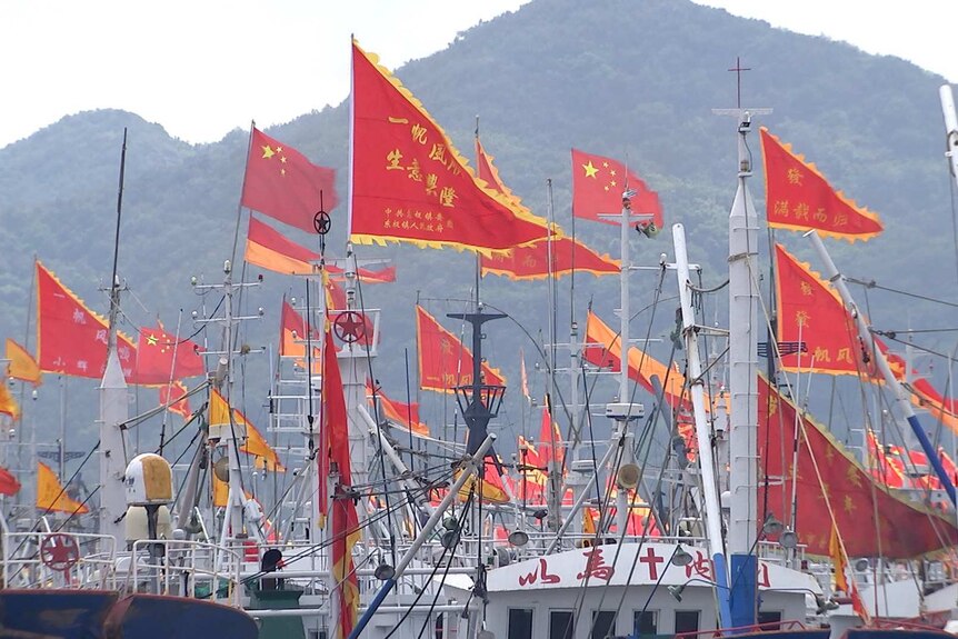 A group of Chinese flags on the Zhoushan fishing fleet.