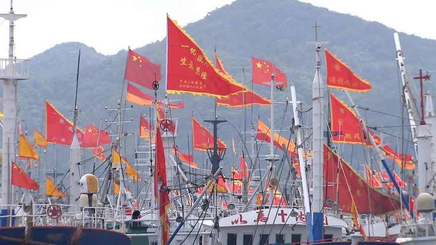 A group of Chinese flags on the Zhoushan fishing fleet.