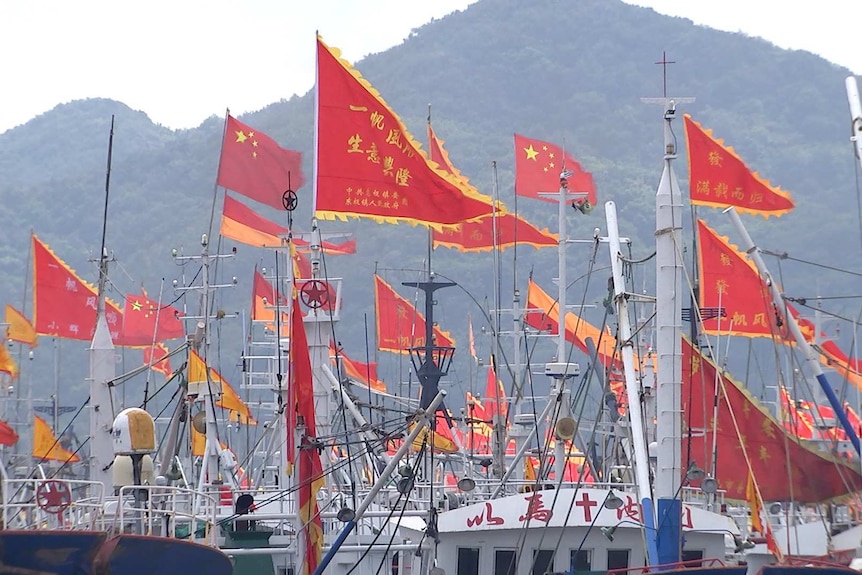 A group of Chinese flags on the Zhoushan fishing fleet. A group of Chinese flags on the Zhoushan fishing fleet.