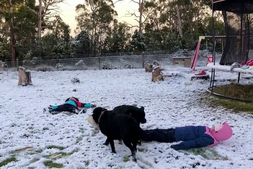 Two kids lie on the ground and make snow angels as two dogs walk around them.
