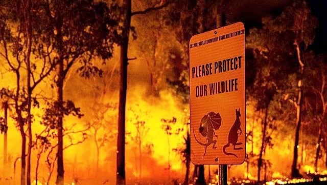 A sign saying please protect our wildlife with a bushfire in the background.