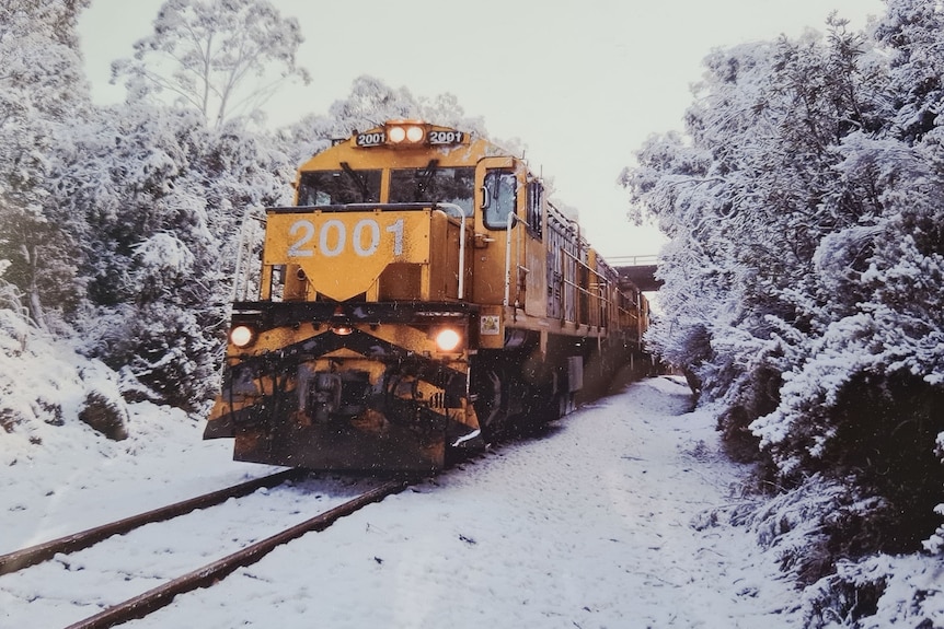 A train halted in snow with snow-covered trees each side.