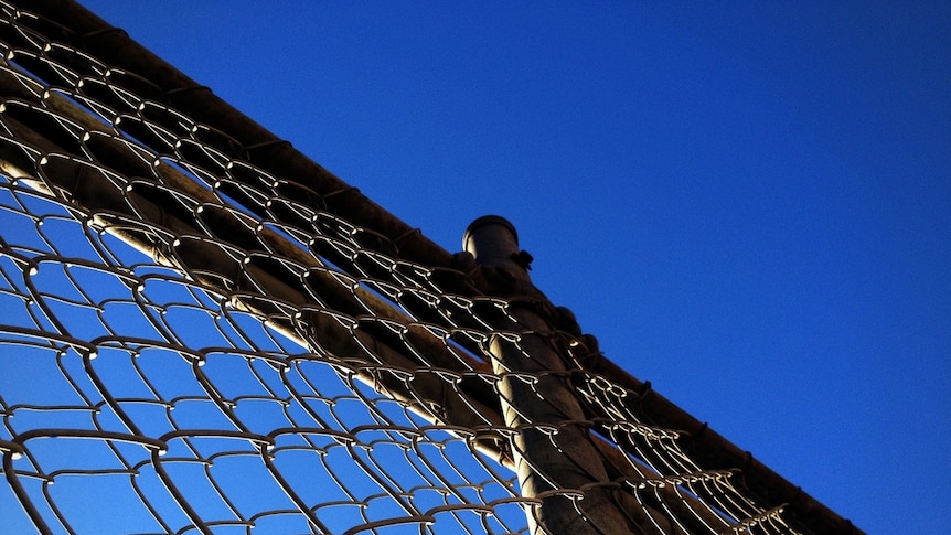 It is thought that at least four prisoners in Berrimah Prison jumped over a cyclone fence to escape, then returned voluntarily