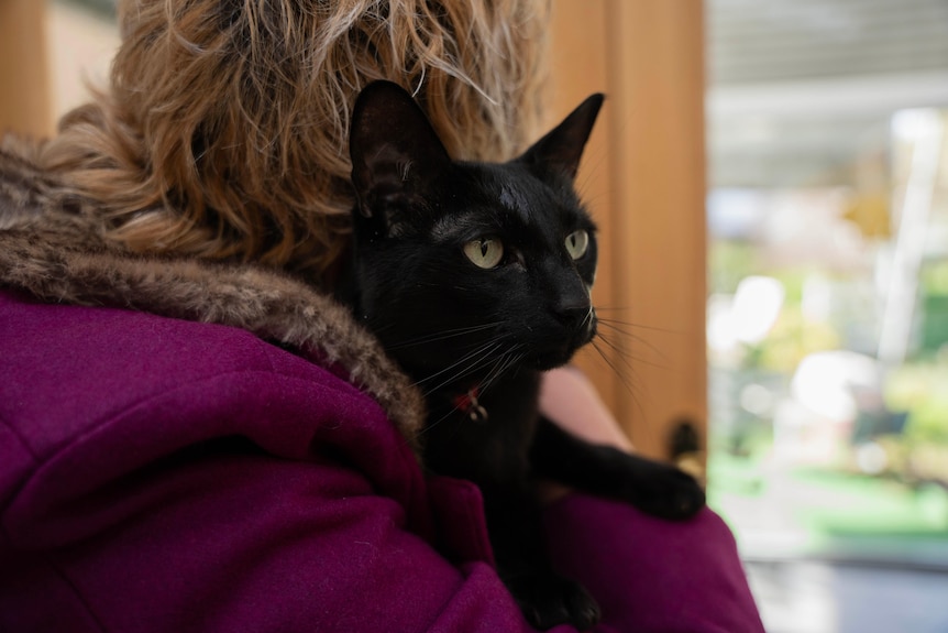 Back shot of a woman in a purple coat, holding a beautiful black cat 