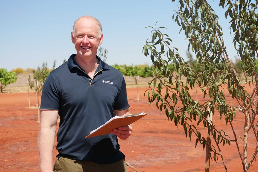 A man standing next to an almond tree.