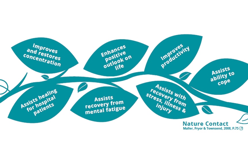 An illustration of a tree branch with seven leaves. Text on each leaf lists a different benefit of outdoor education.