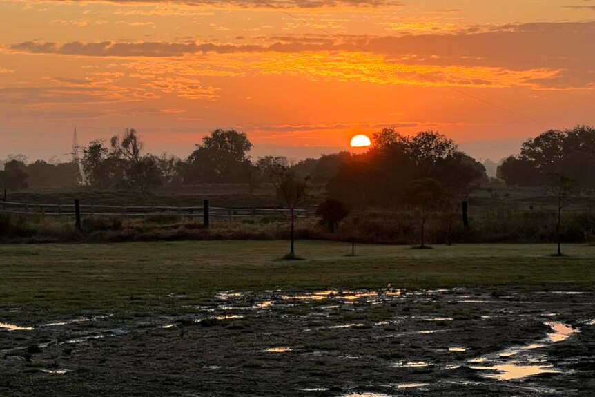 The sun rises over Baralaba property
