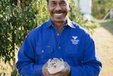 A man in a blue shirt holds a quail.