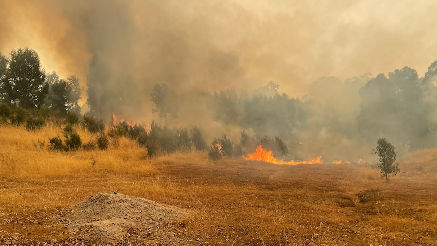 Image of smoke and flames burning through the landscape on a bushfire front.