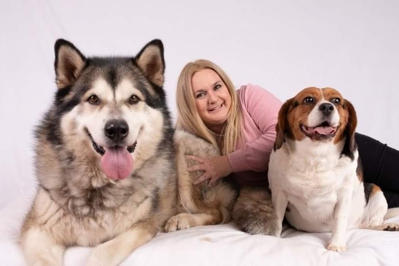 Jennifer Howard lies on a bed with a large husky and beagle dogs