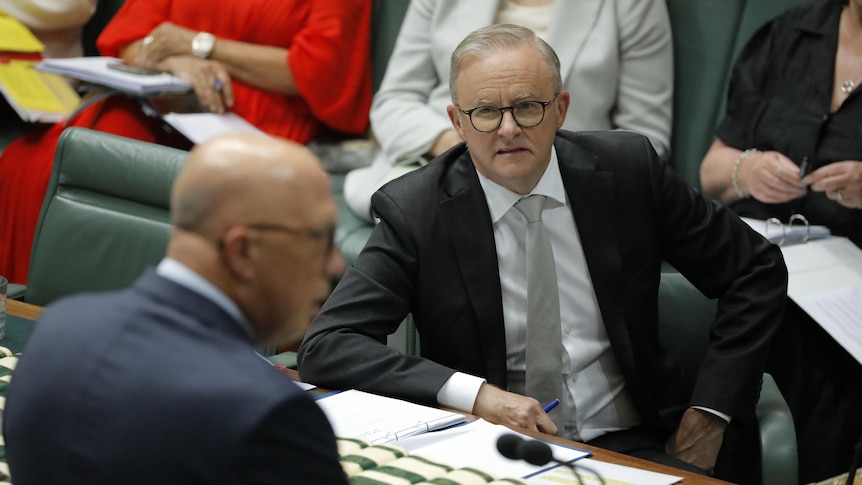 albanese sits with his hands on his hips, watching dutton speak across the dispatch box