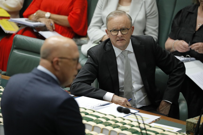 albanese sits with his hands on his hips, watching dutton speak across the dispatch box
