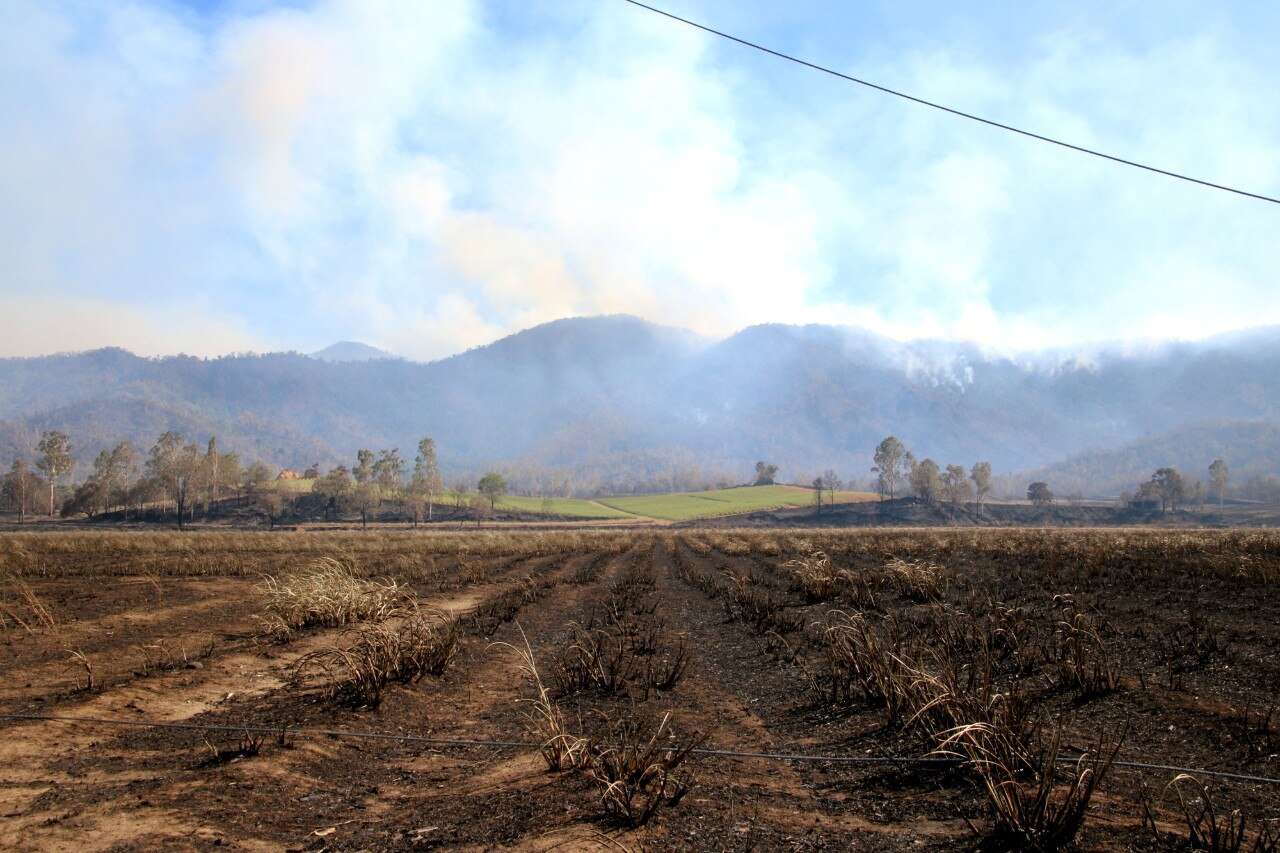 Queensland's Farmers Still Reeling From 2018 Bushfire Disaster As Fire ...