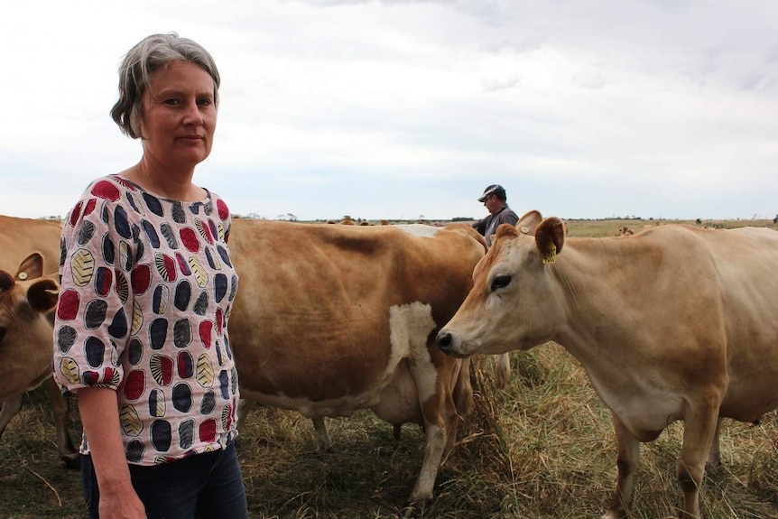 A woman stands in a paddock in front of dairy cows