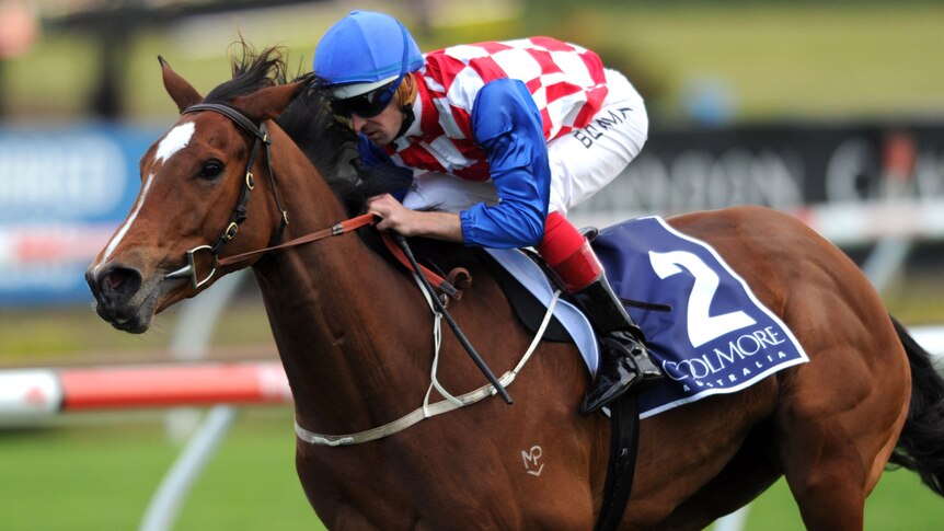 Streama takes Flight at Randwick