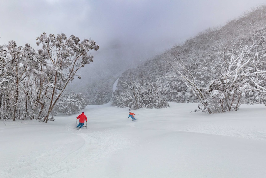 A ski slope at Mount Hotham after getting 16cm of snow.