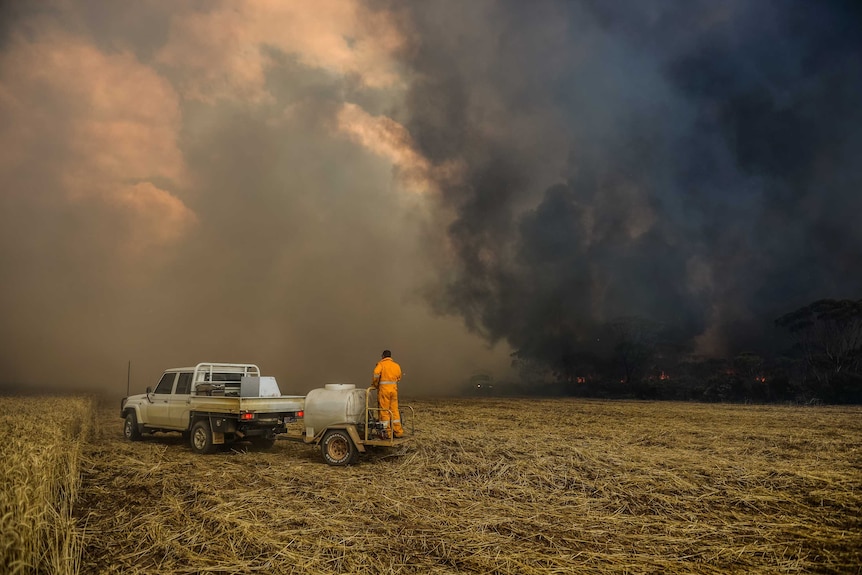 A firefighter stands on the back of a small trailer, surveying a bushfire.