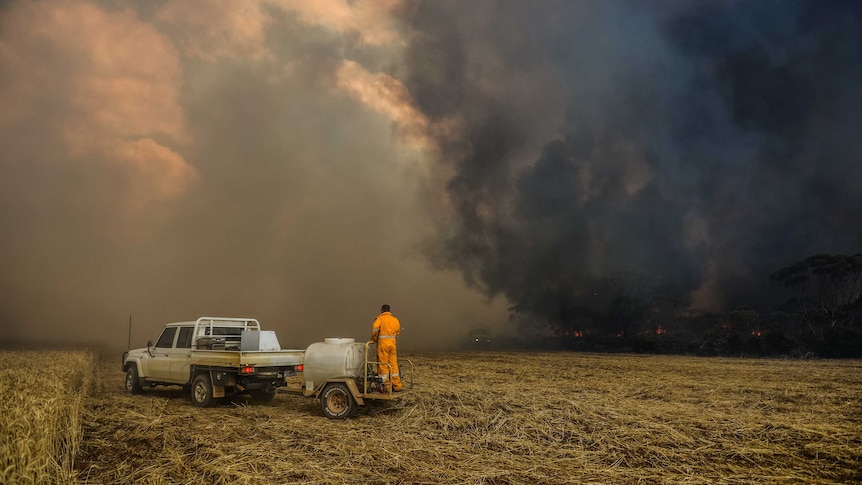 A firefighter stands in a paddock near a giant plume of black smoke.