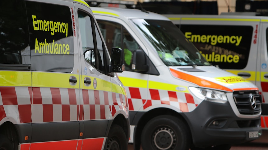 Three ambulances are parked close to each other, outside a hospital.