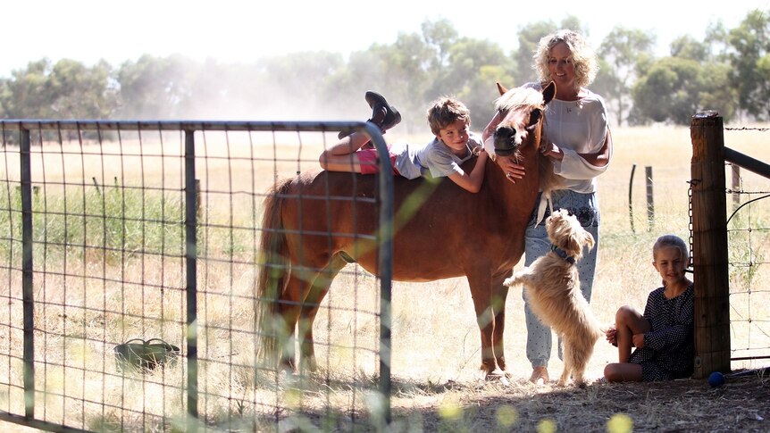 A woman stands near a pony with a young boy, girl and dog