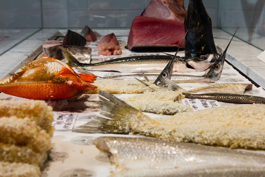 Seafood displayed in glass cabinet.