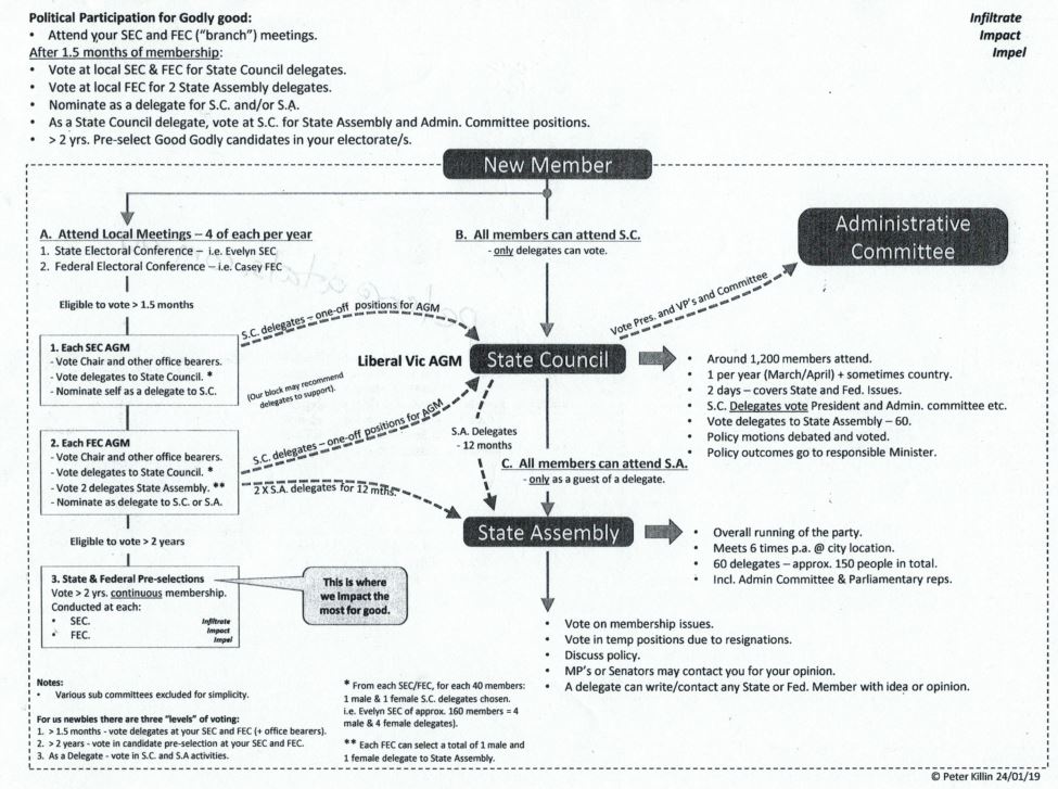 A graphic of a flowchart.