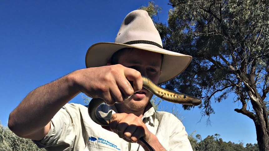 man holds eel-like fish in the bush