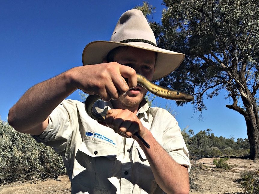man holds eel-like fish in the bush