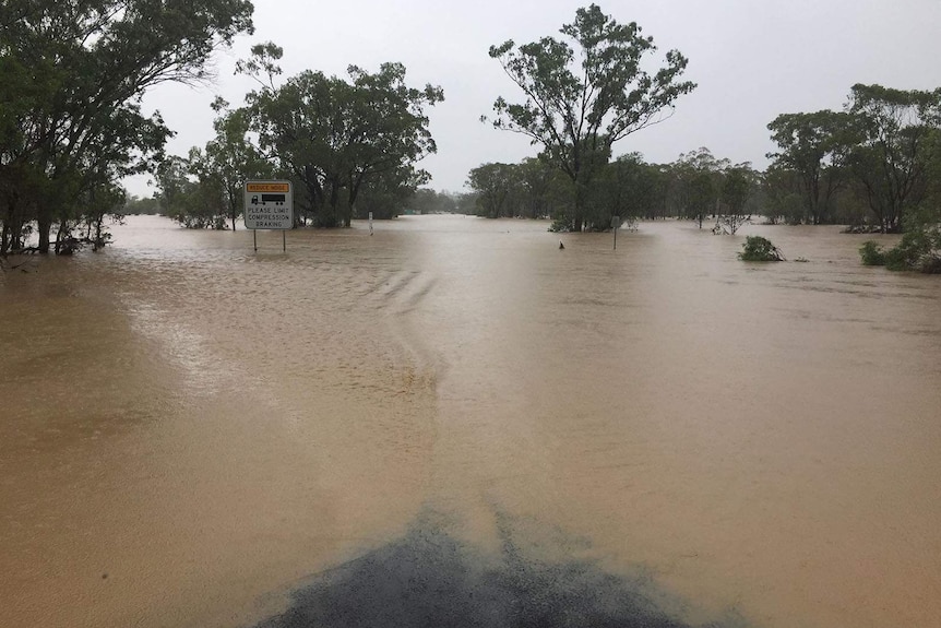 A flooded creek in western Queensland