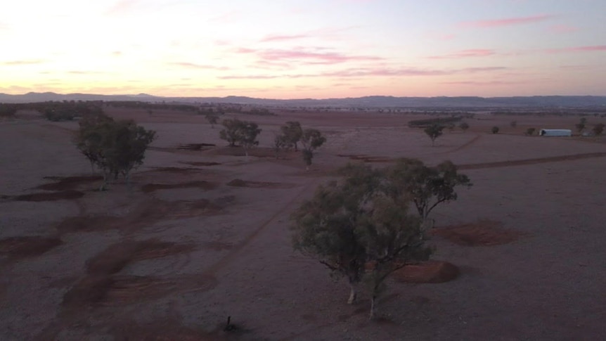 Drone vision shows the brown paddocks of western NSW