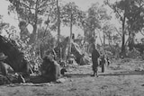 Black and white photo of Aboriginal bush camp circa 1920's