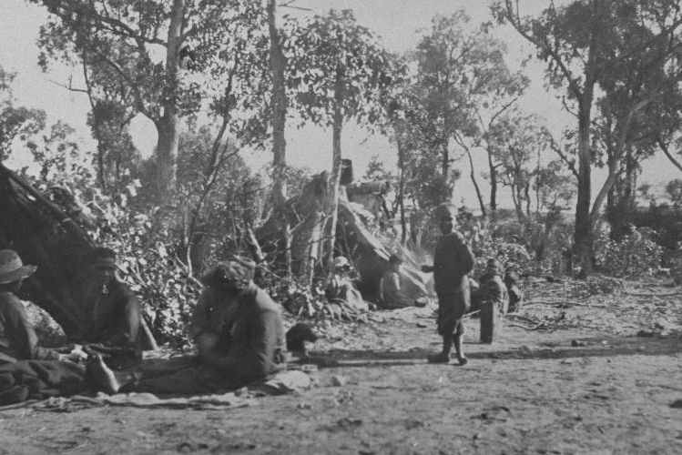 Black and white photo of Aboriginal bush camp circa 1920's