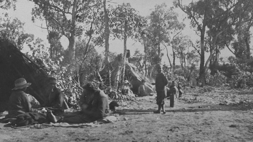 Black and white photo of Aboriginal bush camp circa 1920's