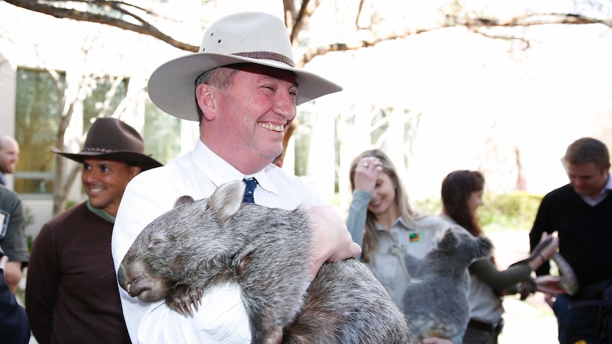 A smiling Barnaby Joyce holding a wombat