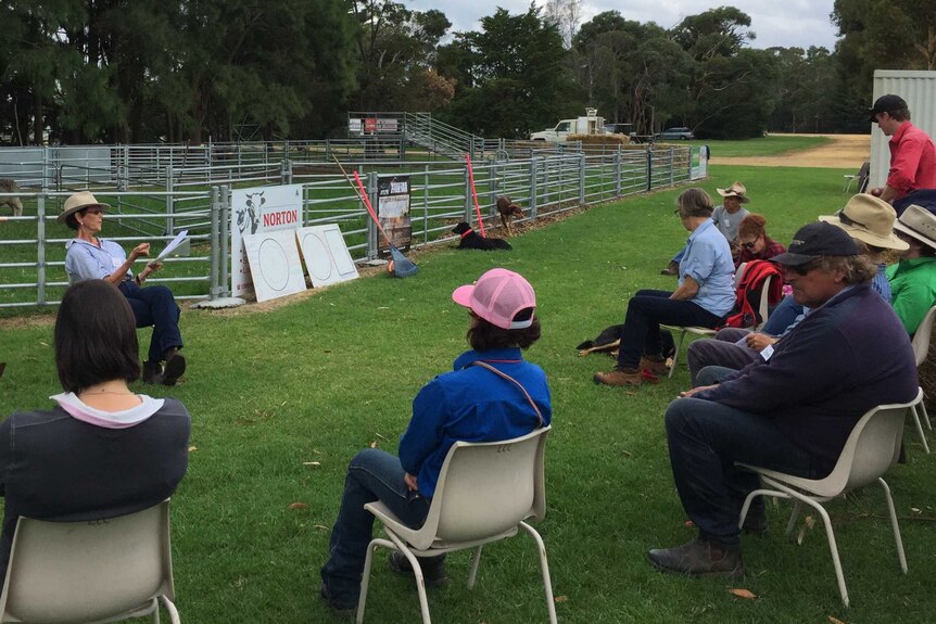The participants sitting in a circle of chairs next to the steel pen listening to Kay Hocking, Lucindale April 2017
