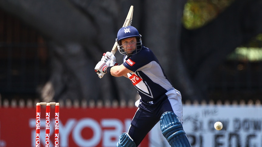 Masterclass ... Brad Hodge posted his highest ever domestic one-day score. (Getty: Ryan Pierse)