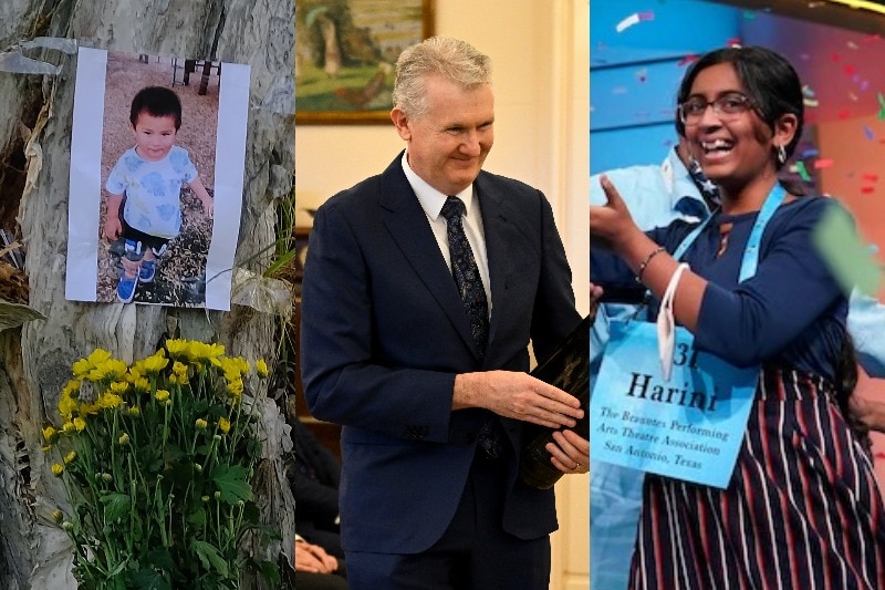 composite image of picture of boy taped to tree, tony burke being sworn in, spelling bee winner