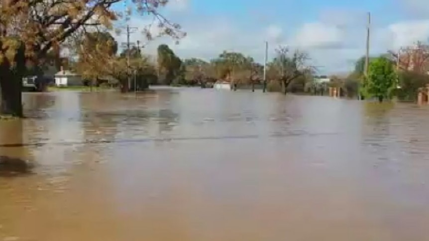 Flooding in the towns of Beckom and Ardlethan in NSW