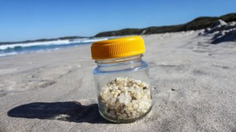 Durban nurdles in jar