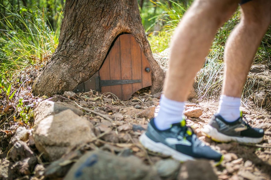 A walker goes past the small wooden door.