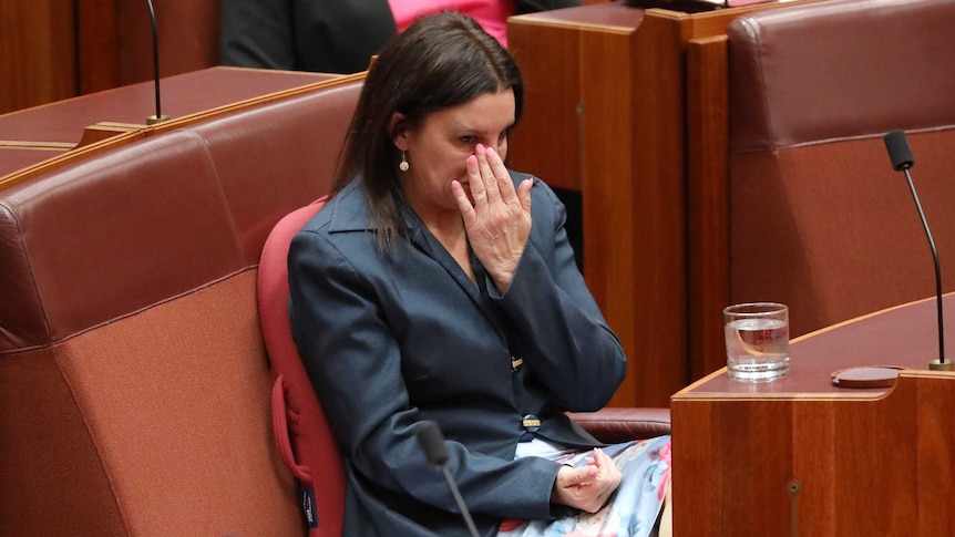 Jacqui Lambie sits down and wipes tears from her eyes as she informs the Senate she's resigning.