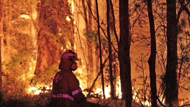 A firefighter in front of trees engulfed in towering flames.