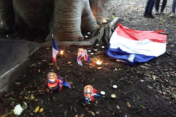 A vigil for Paris in Newcastle's Civic Park.