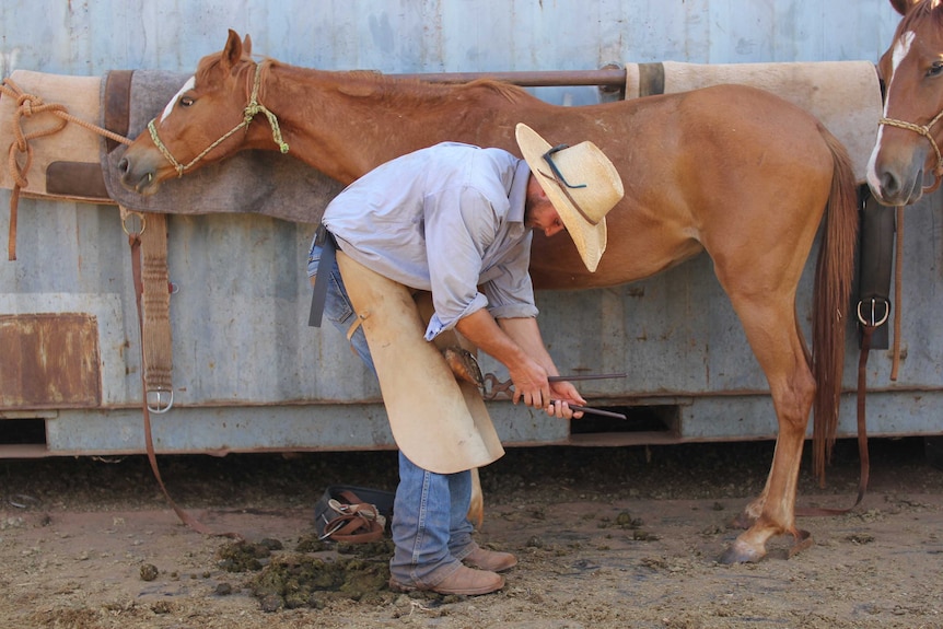 a man in a hat shoeing a horse