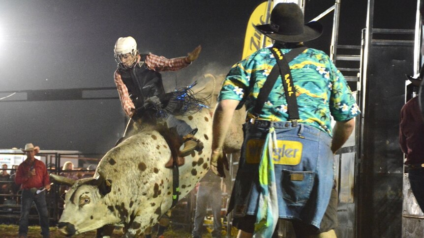 A bull rider tries not to fall off at the Gargett Rodeo