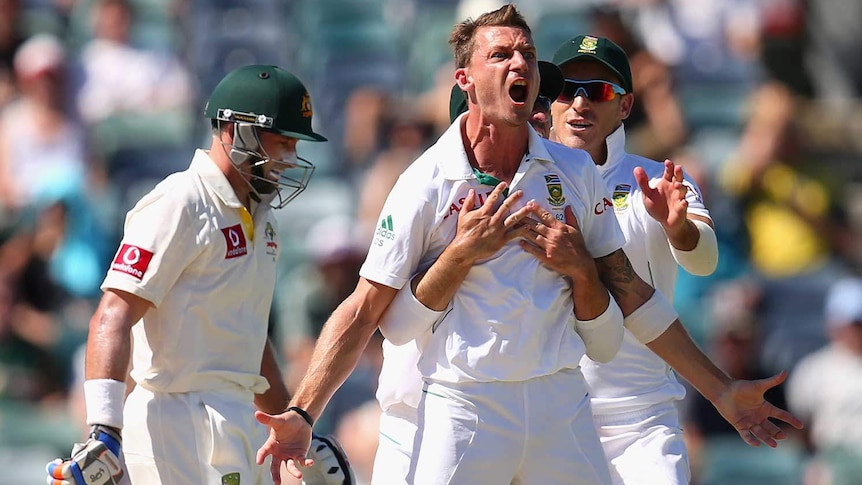 Happy much? Dale Steyn celebrates the wicket of Mr Cricket.