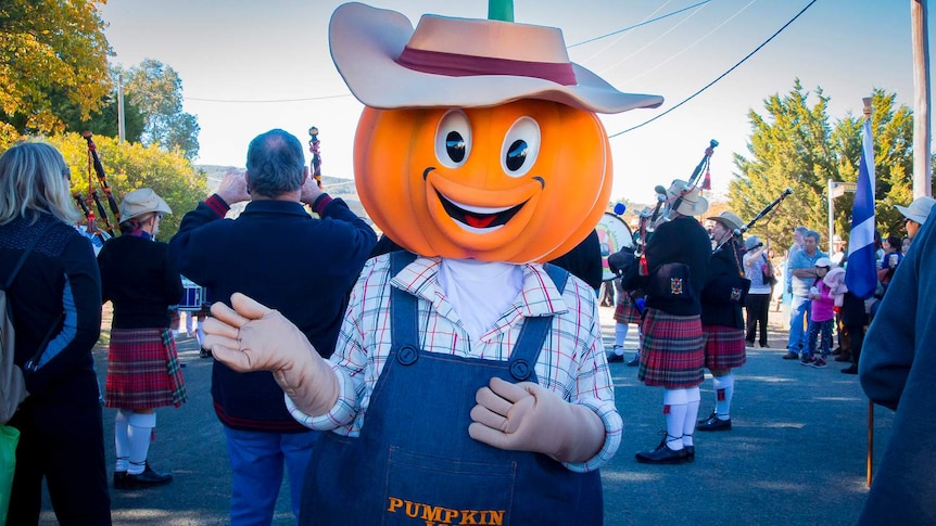 A person dressed up as a giant pumpkin is waving